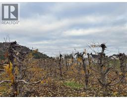 5803 Lewes Avenue, Summerland, BC V0H1Z2 Photo 4