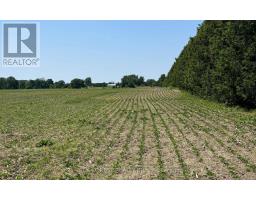 0 Downie Road, Dawneuphemia, ON N0P1C0 Photo 4