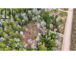 2320 Riverside Road, Green Creek, NS B0N2J0 Photo 4