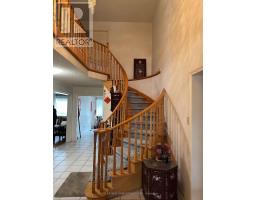 Kitchen - 19 Leno Mills Avenue, Richmond Hill, ON L4S1J3 Photo 4