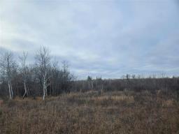 0 15 E Road, Armstrong, MB R0C1B0 Photo 2