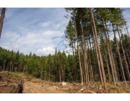 11533 Wilson Street, Mission, BC V4S1M1 Photo 5