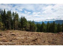 11533 Wilson Street, Mission, BC V4S1M1 Photo 3