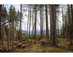 11533 Wilson Street, Mission, BC V4S1M1 Photo 4