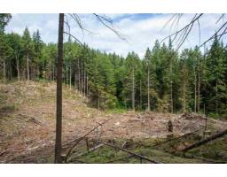 11533 Wilson Street, Mission, BC V4S1M1 Photo 2