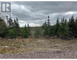 23 1 Dan Josie Lane, East Havre Boucher, NS B0H1P0 Photo 3