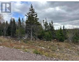 23 2 Dan Josie Lane, East Havre Boucher, NS B0H1P0 Photo 5