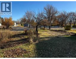 410 Grand Avenue, Carmangay, AB T0L0N0 Photo 2