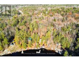 2487 Falkenburg Road, Muskoka Lakes, ON P0B1J0 Photo 4