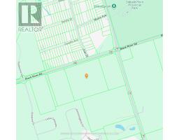 N A Black River Road, Georgina, ON L0E1R0 Photo 2