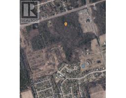 N A Black River Road, Georgina, ON L0E1R0 Photo 4