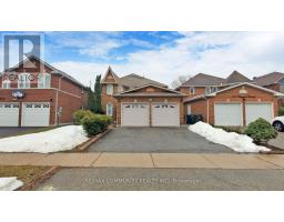 Basement 491 Baggetta Crescent, Mississauga, ON L5R3G9 Photo 4