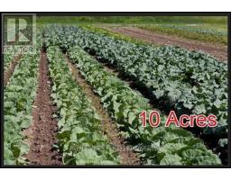 3096 Bethesda Road, Whitchurchstouffville, ON L4A7X5 Photo 3