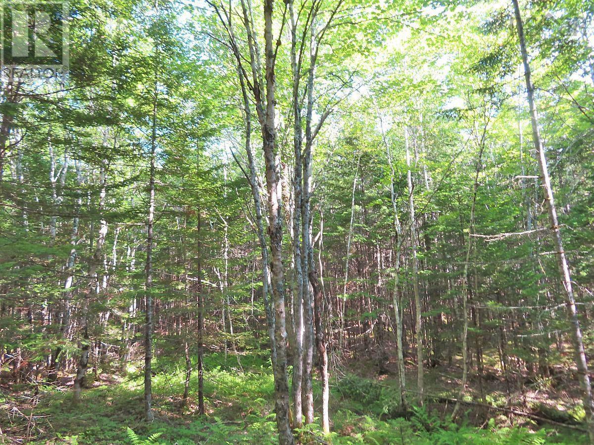 Lot 5 Lower River Road