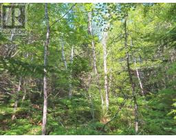 Lot 5 Lower River Road, Grantville, NS B0E1J0 Photo 2