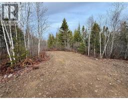 1192 Rte 935, Rockport, NB E4K3N1 Photo 5