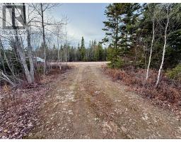 1192 Rte 935, Rockport, NB E4K3N1 Photo 3