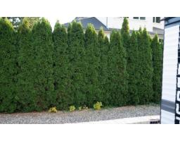 133 14600 Morris Valley Road, Mission, BC V0M1A1 Photo 3