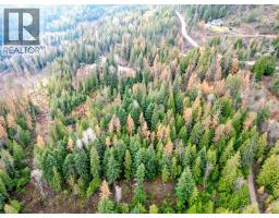 766 Drakes Road, Rossland, BC V0G1Y0 Photo 2