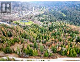 766 Drakes Road, Rossland, BC V0G1Y0 Photo 5