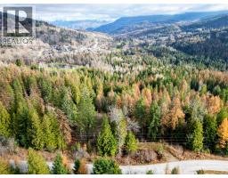 766 Drakes Road, Rossland, BC V0G1Y0 Photo 4