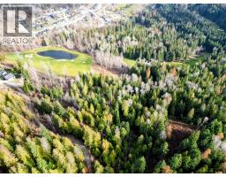 766 Drakes Road, Rossland, BC V0G1Y0 Photo 3