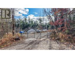 1267 Graham Road, Gravenhurst, ON P0E1N0 Photo 3