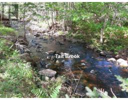 116 5 Acres 348 Highway West River Road, Smithfield, NS B0H1E0 Photo 3