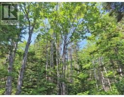 Lot 2 Perry Lane, Lennox Passage, NS B0E1K0 Photo 2
