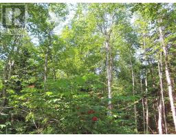 Lot 2 Lower River Road, Hureauville, NS B0E1J0 Photo 4