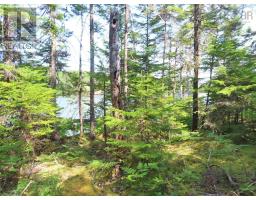 Lot 2 Lower River Road, Hureauville, NS B0E1J0 Photo 3