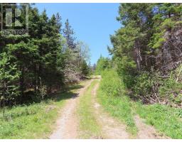 28 Acres Upper Grand Mira Road, Upper Grand Mira, NS B1K1M1 Photo 5