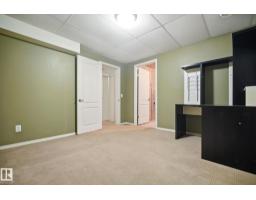 Den - 21 671 Silver Berry Rd Nw, Edmonton, AB T6T0B7 Photo 5