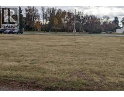 209 King Street, Nobleford, AB T0L1S0 Photo 4