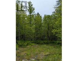 Cm 2 J Lot Cm 2 J Mckenzie Lane, Mount Uniacke, NS B0N1Z0 Photo 2