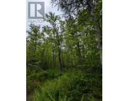 Cm 2 J Lot Cm 2 J Mckenzie Lane, Mount Uniacke, NS B0N1Z0 Photo 4