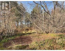 3678 Mccarthy Drive, Clearview, ON L0M1N0 Photo 3