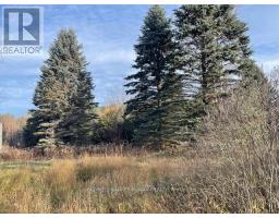 3678 Mccarthy Drive, Clearview, ON L0M1N0 Photo 4