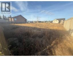 208 Trestle Place, Hinton, AB T7V0B8 Photo 3