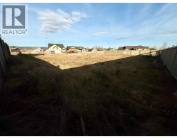 208 Trestle Place, Hinton, AB T7V0B8 Photo 4