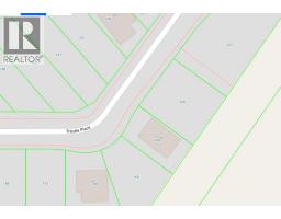 208 Trestle Place, Hinton, AB T7V0B8 Photo 5