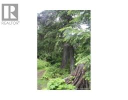 Ferguson Road, Ferguson, BC V0G1R1 Photo 4