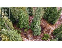 Ferguson Road, Ferguson, BC V0G1R1 Photo 2