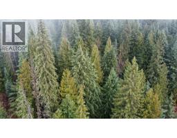 Ferguson Road, Ferguson, BC V0G1R1 Photo 3