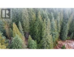 Ferguson Road, Ferguson, BC V0G1R1 Photo 5