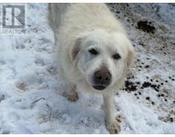 Bedroom - 219 Comerford Road S, Brudenell Lyndoch And Raglan, ON K0J2E0 Photo 5