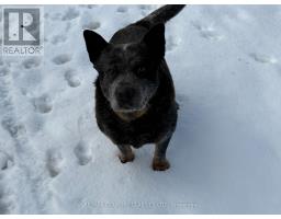 Mud room - 219 Comerford Road S, Brudenell Lyndoch And Raglan, ON K0J2E0 Photo 4