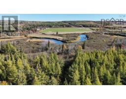 33 Acres Dowling Road, Cleveland, NS B0E3L0 Photo 5