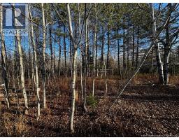 3350 Sqm Hwy 430, Chaplin Island Road, NB E1V4V3 Photo 4