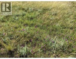 132 Olsen Road, Last Mountain Lake East Side, SK S0G0L0 Photo 4